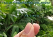 D-Think_NFC V-01植入式生物芯片，支持手機(jī)NFC讀取