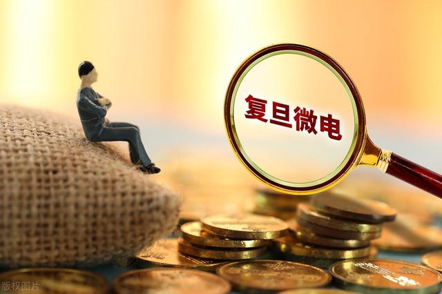 FPGA芯片，上市公司中誰最強？
