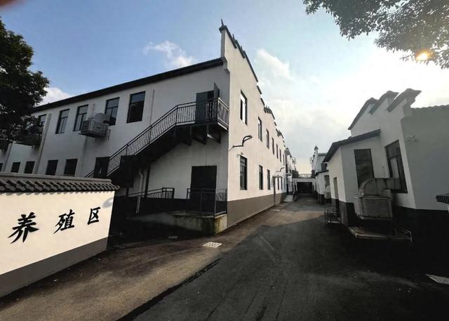 每天健身、飲食營養(yǎng)、住樓房！我說的是松江這個(gè)山羊養(yǎng)殖基地的“混血羊”→