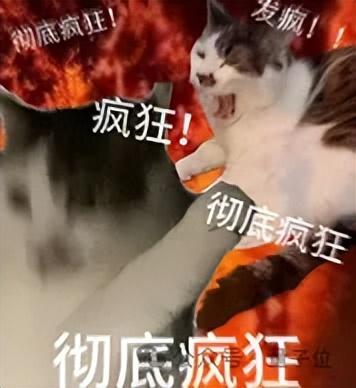 DeepSeek下棋靠忽悠贏了ChatGPT，網(wǎng)友：孫子兵法都用上了
