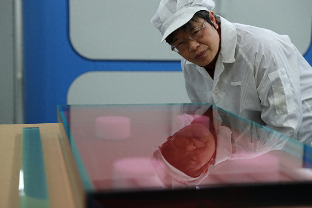 研究了38年玻璃的她，如今著眼如何用AI賦能新材料開發(fā)