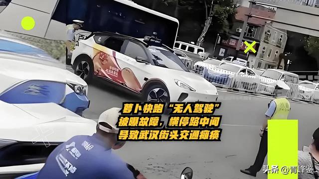 自動駕駛：駛向未來還是困境迷途？